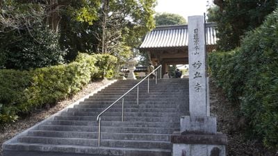 Ingresso 2