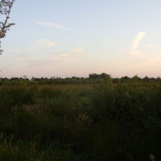 Barkenkuhlen im Ipweger Moor