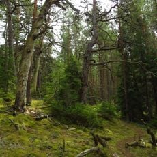 Kõpu Nature Reserve