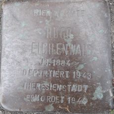 Hugo Eichenwald