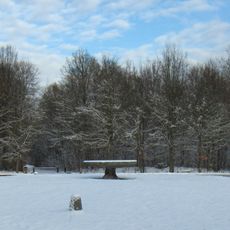 Chantilly Forest