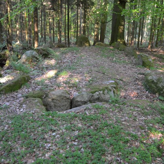 Großsteingrab Panker 1