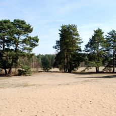 Písečný přesyp u Vlkova