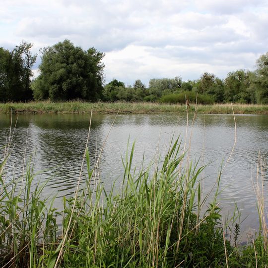 Donaualtwasser Staatshaufen