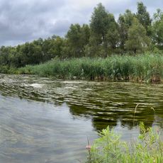 Applebecker Millpond