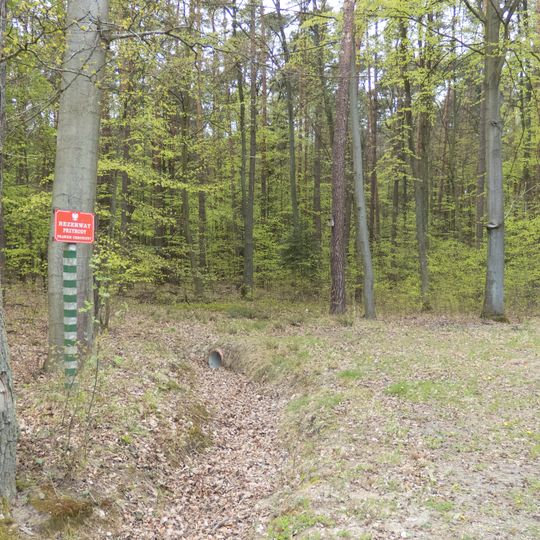 Nature reserve Wrząca