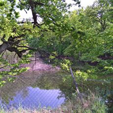 Wasserfläche mit Gehölz und Schilf
