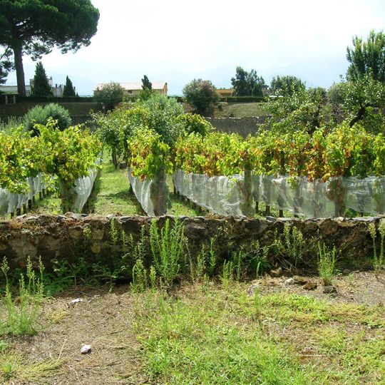 Garden of the fugitives