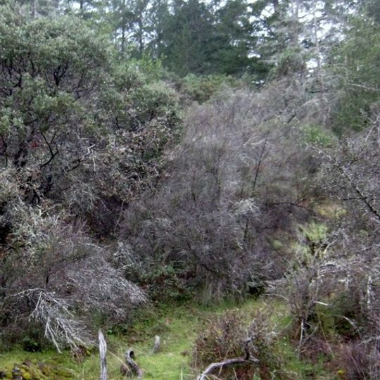 Bothe-Napa Valley State Park