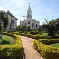 Leopoldo de Bulhões