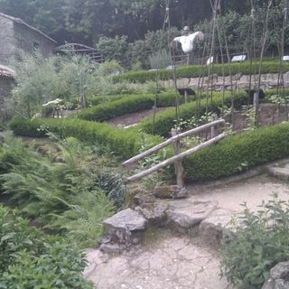 Arboretum Du Puy Du Fou