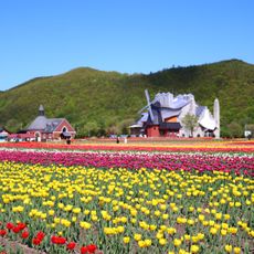かみゆうべつチューリップ公園