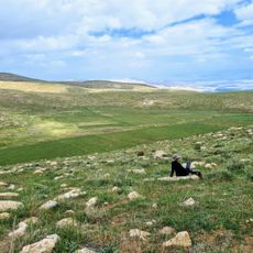 תצפית על עמק דליה