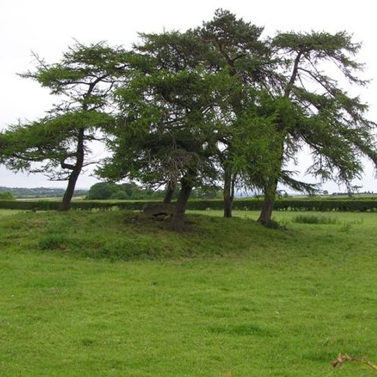 Passage Tomb von Moneydig