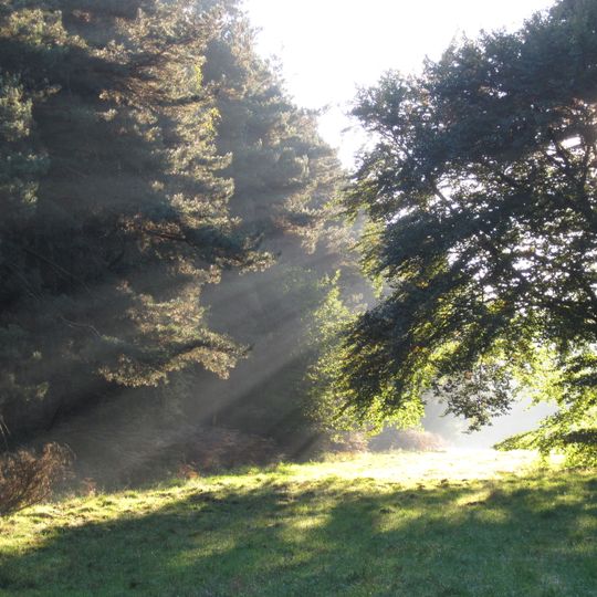 Klever Reichswald
