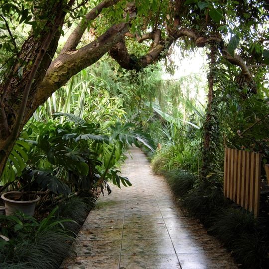 South Ural Botanical Garden-Institute