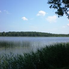 Grūtas