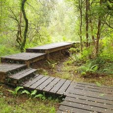 Tourbière du Mougau