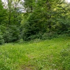 Naturschutzgebiet Ziegenstallsgründe