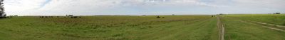Panoramic View 2