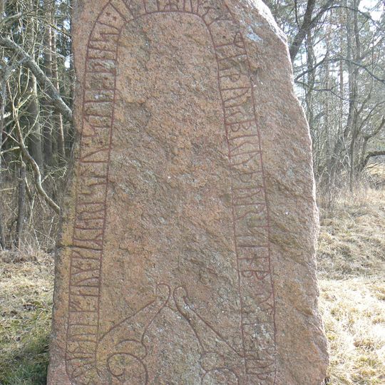 Östergötlands runinskrifter 207