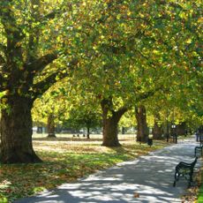 Kennington Common