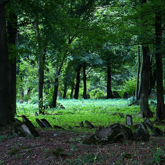 Alter jüdischer Friedhof