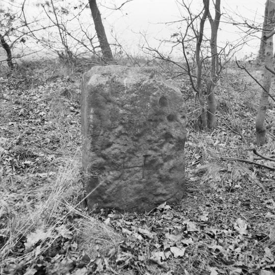 Grenspaal nr 25 van Bentheimerzandsteen, voorzien van renaissanceschild met Andreaskruis en vuurslag