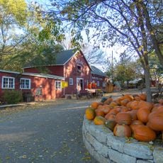 Vala's Pumpkin Patch