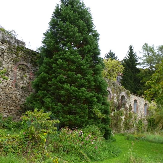 Ruine der Burg Degenberg