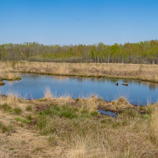 NSG Grosses Torfmoor