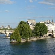 25 espacios verdes en París para escapar del calor