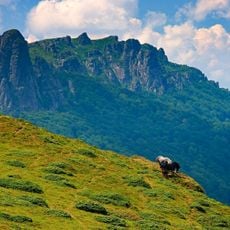 Stara Planina Nature Park