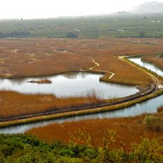 Marjal de Pego-Oliva Natural Park