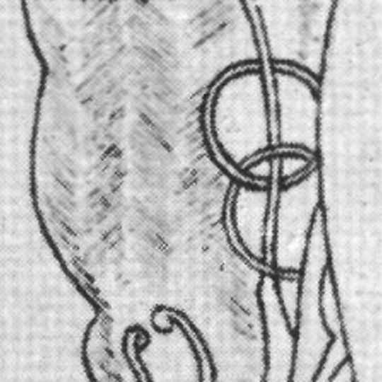 Uppland Runic Inscription 850