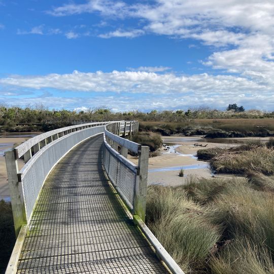 Kawatiri Walk Westport