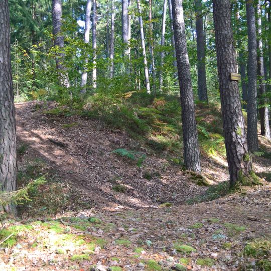 Erdwerk Ohrenbacher Schanze