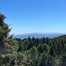 Parque Nacional Alerce Costero