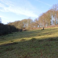 Alpine Meadow, Berkhamsted