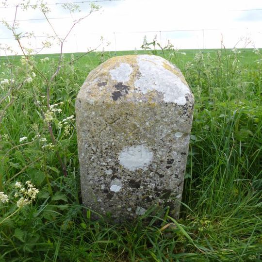 Milestone, Toyd Down; 1km N of Knap Barrow Farm