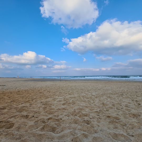 Poleg Beach