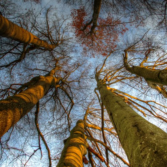 Schutz von Landschaftsteilen im Landkreis Eggenfelden, LSG Park Schönau