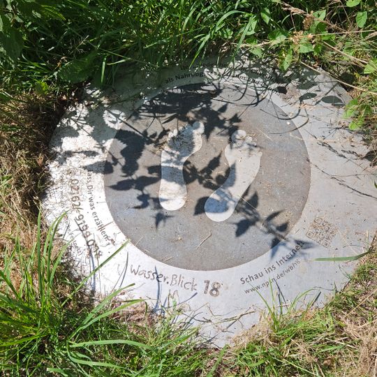 Wasser.Blick 18 Kopfweiden in Waldniel