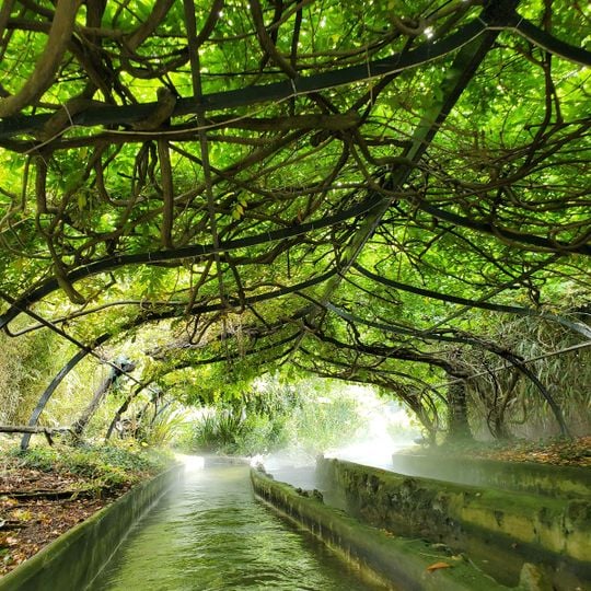 La Rivière Enchantée