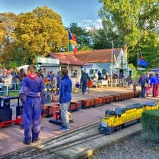 Little Steam Train of Forest