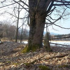 Kříž nad zaniklým Malým Horšínem