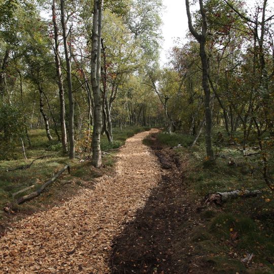 Fürstenauer Heide und Grenzwiesen Fürstenau