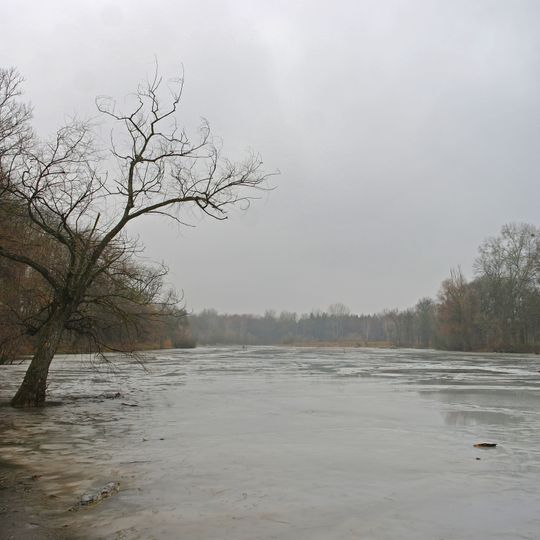 Басівський парк