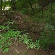 Burgstall Altheim (Oberösterreich)