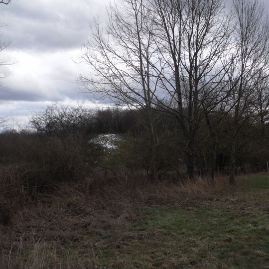 Motte Castrale de Montreux-Château